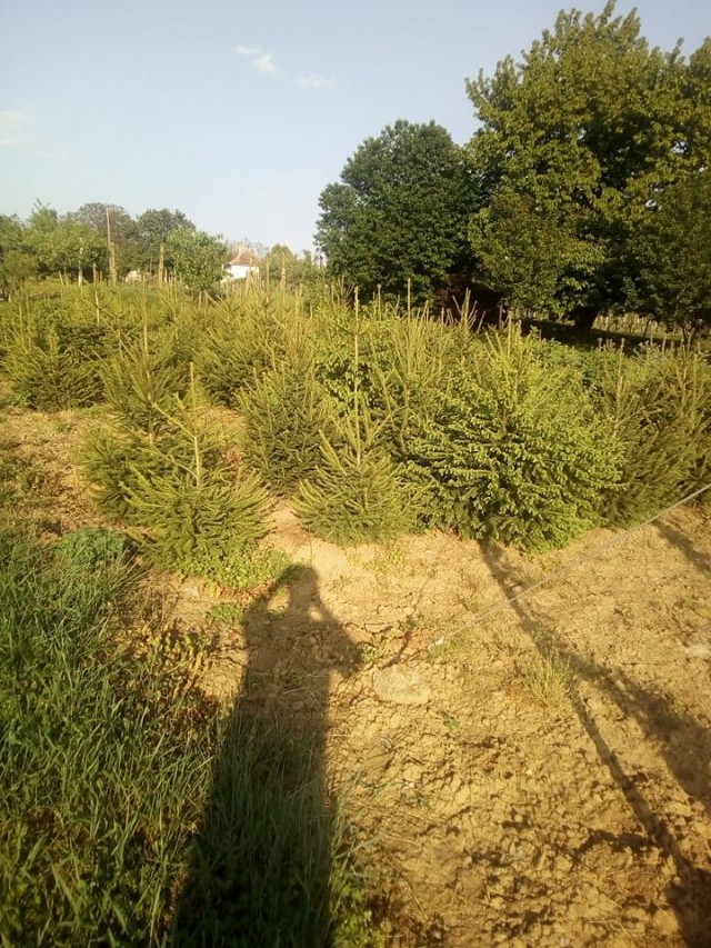 Balatontól 35 km-re zártkerti ingatlan eladó