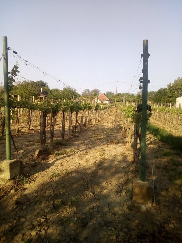 Balatontól 35 km-re zártkerti ingatlan eladó